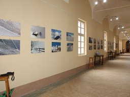 mostra_zanini_05
